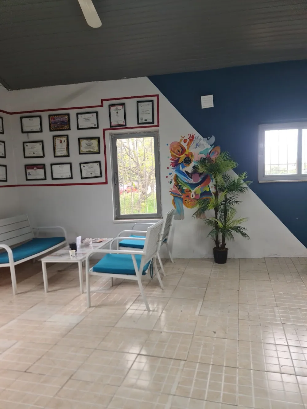 Denizli Köpek Eğitimi & Köpek Oteli - Denizli pet otel görseli 3