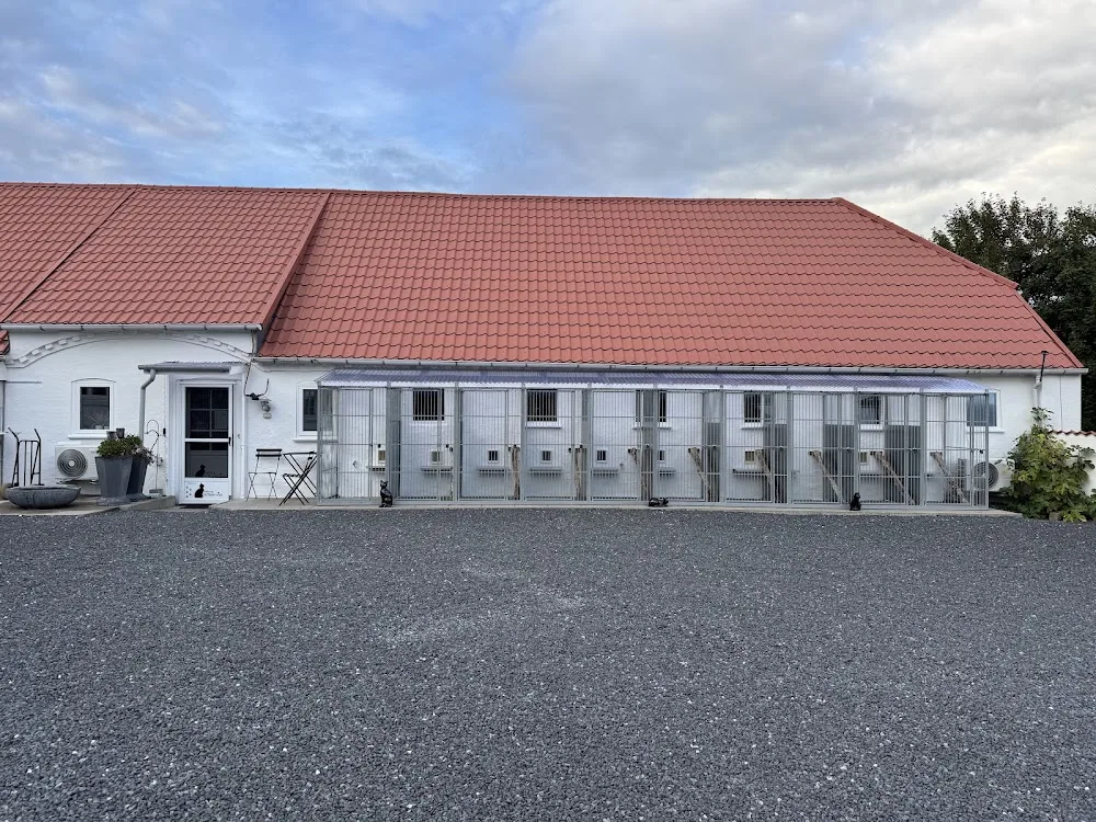 Aalborg Kattepension - Denmark pet otel görseli 3