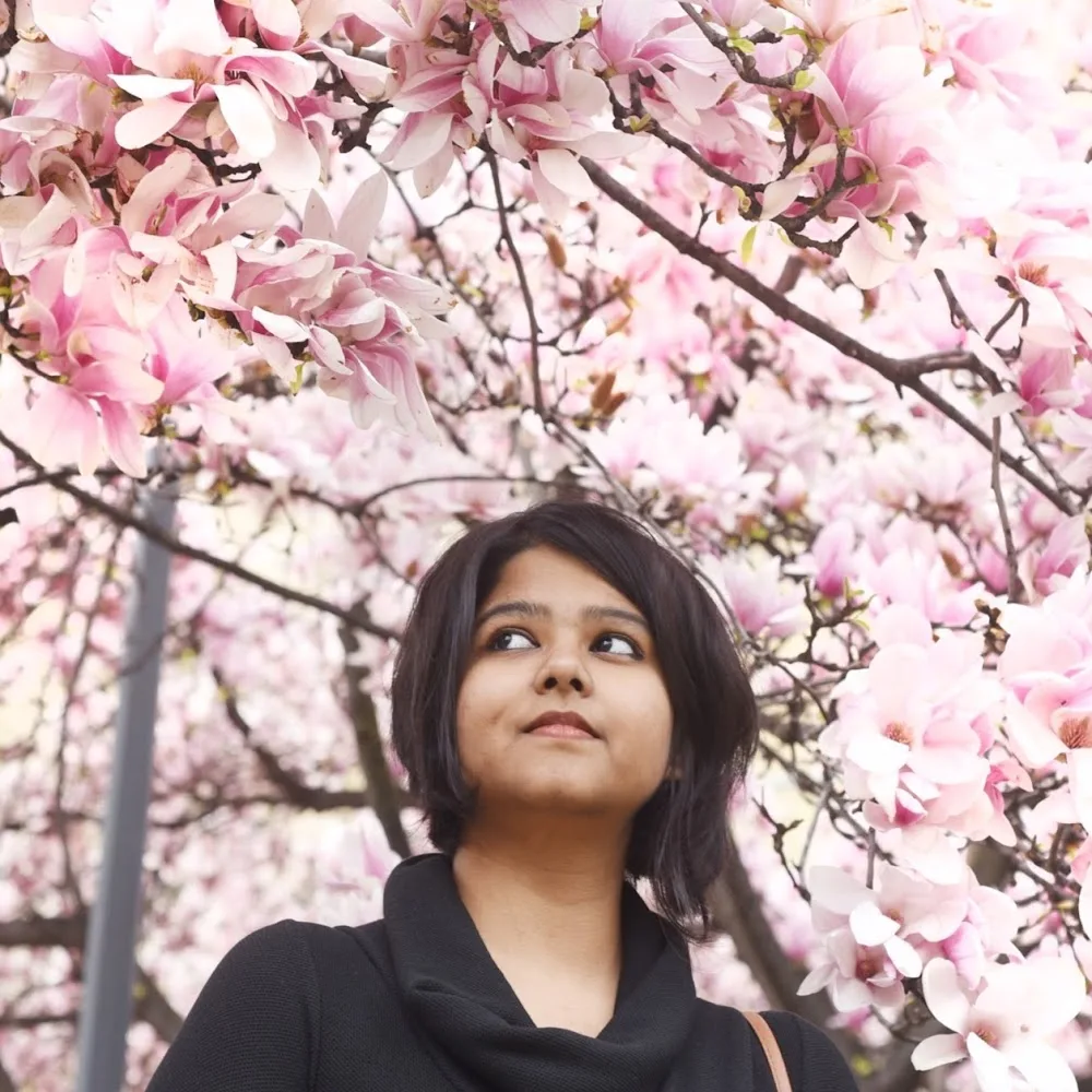 Aalborg Kattepension - Denmark pet otel görseli 4