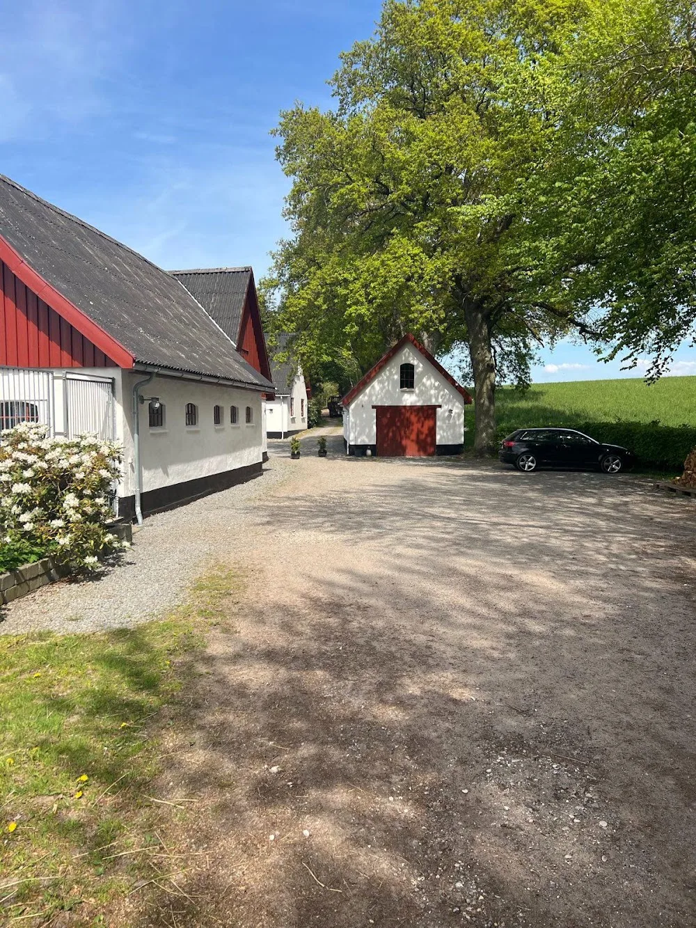 Birkemose Dog and Cattery - Denmark pet otel