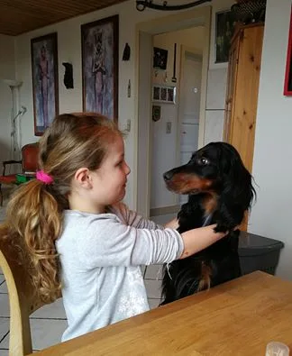 Falkebo Hundepension/Kennel Røsnæs v/Karin Kruger - Denmark pet otel