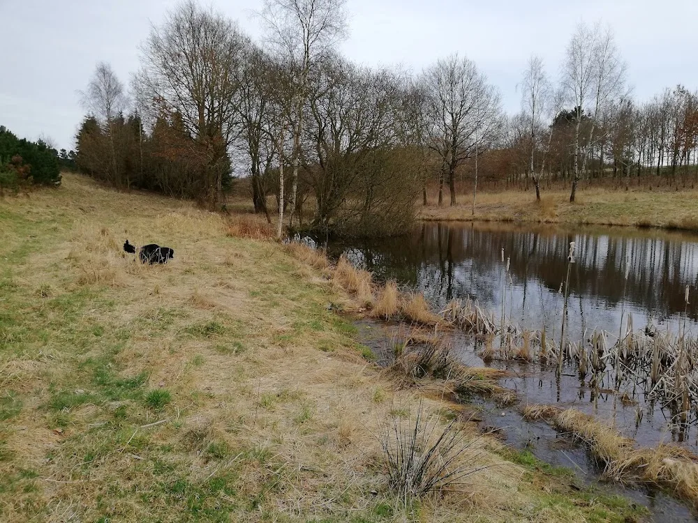 Feldballe Hundepension - Denmark pet otel