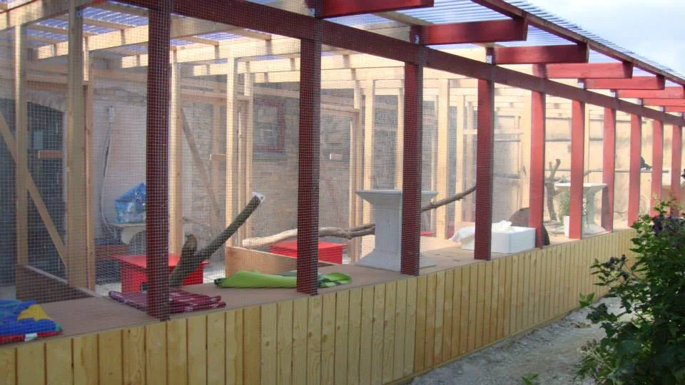 Himmelev Kattepension - Denmark pet otel görseli 7