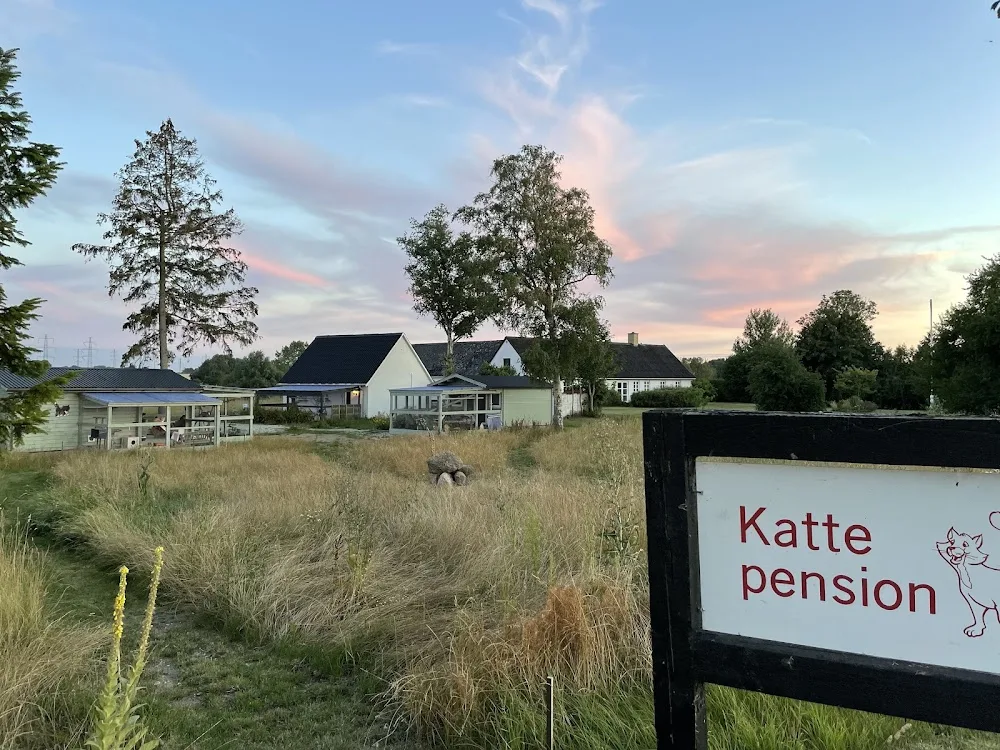 Horsenæs Kattepension - Denmark pet otel