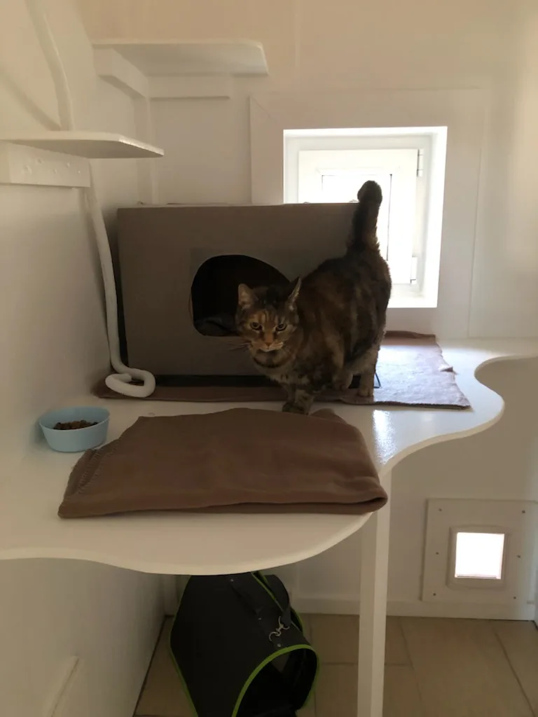Kattepension - Denmark pet otel görseli 6