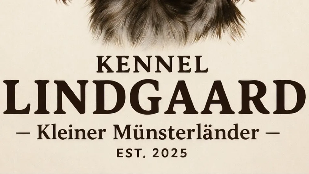 Kennel Lindgaard - Denmark pet otel görseli 2