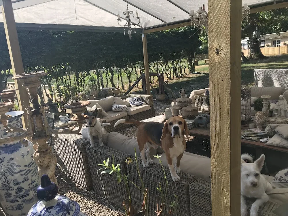 Lille Hunde Ferie - Denmark pet otel