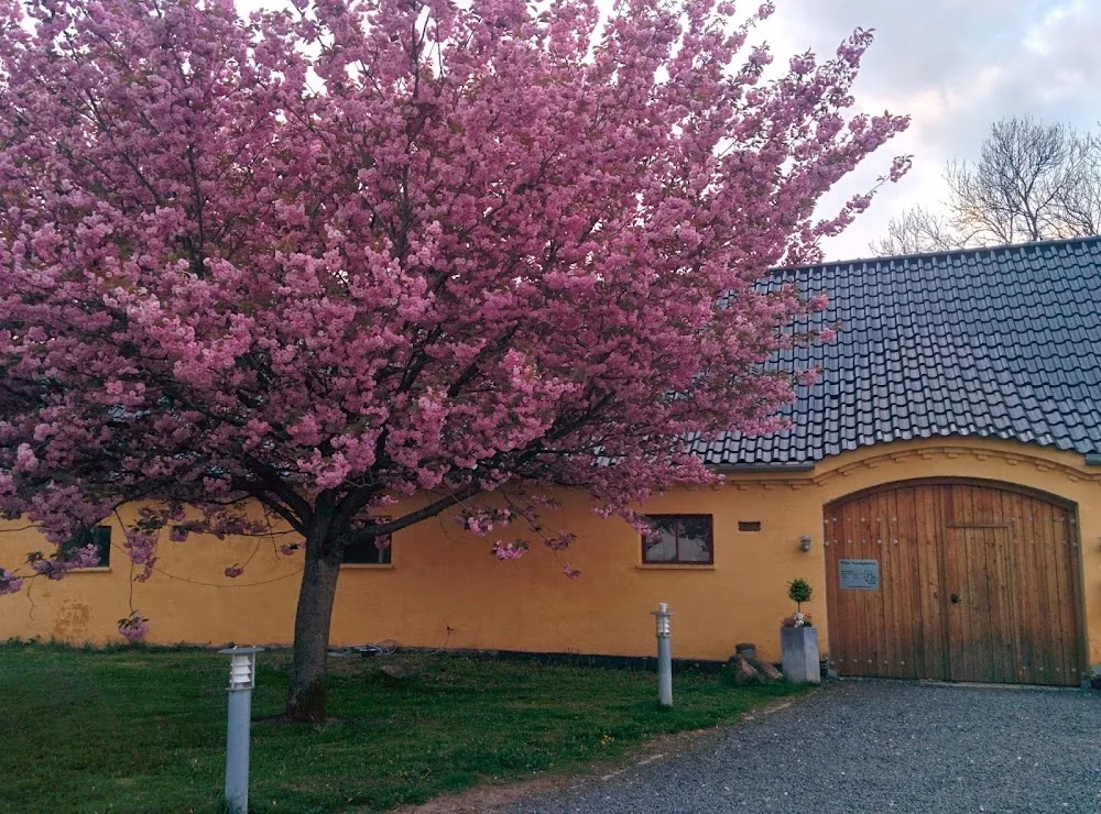 Måløv Hundepension - Denmark pet otel görseli 6