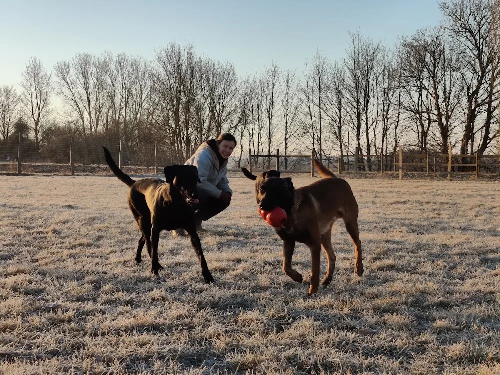 Måløv Hundepension - Denmark pet otel görseli 7