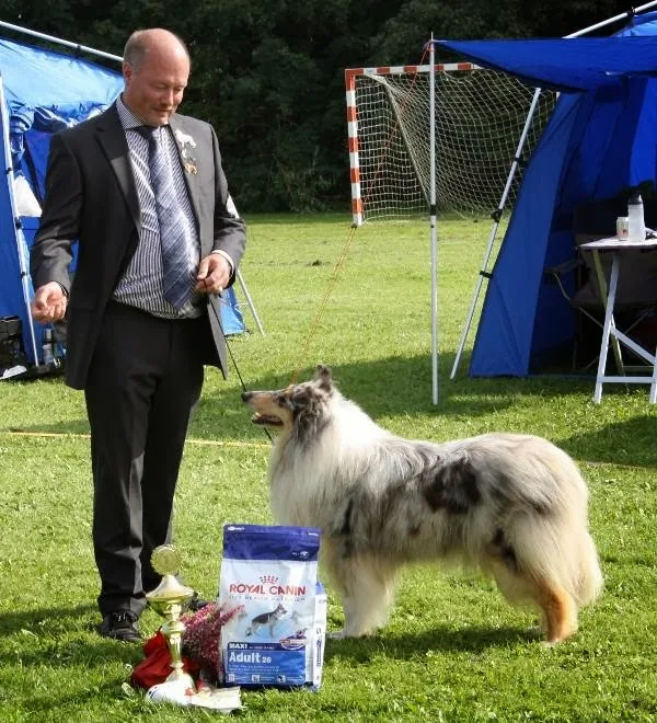 Si-Si Collies & Borzois - Denmark pet otel görseli 2