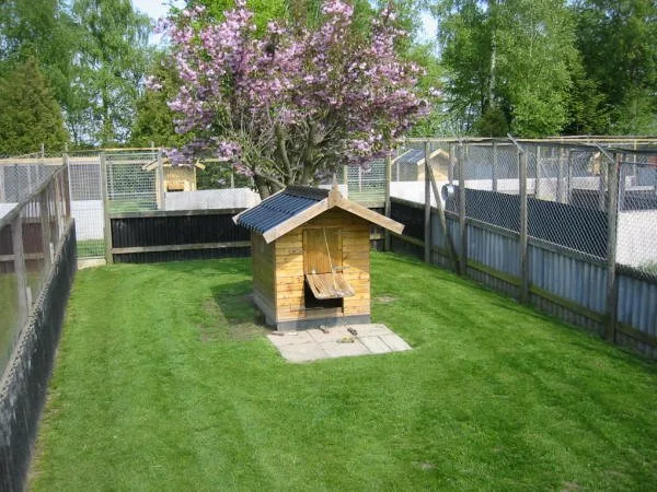 Vallø Dyrepension - Denmark pet otel görseli 7