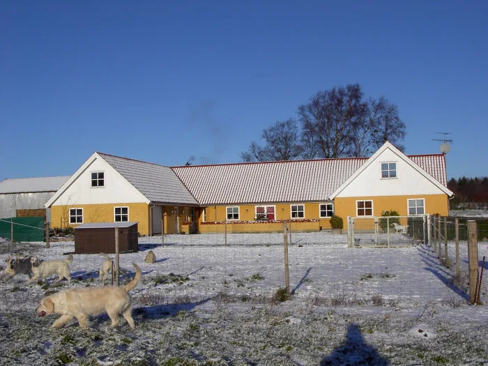 Vallumsøens Hundepension v/Helle Holm Madsen - Denmark pet otel görseli 3