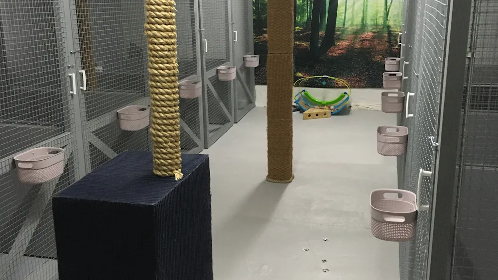 Vestfyns Kattepension - Denmark pet otel görseli 6