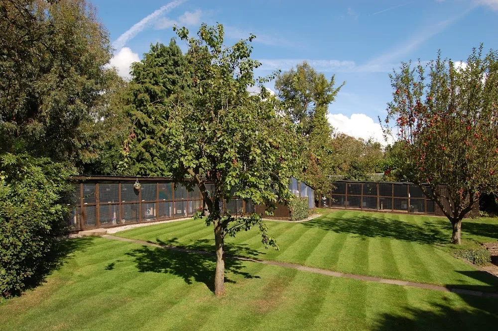Whitecroft Cattery - Derby pet otel