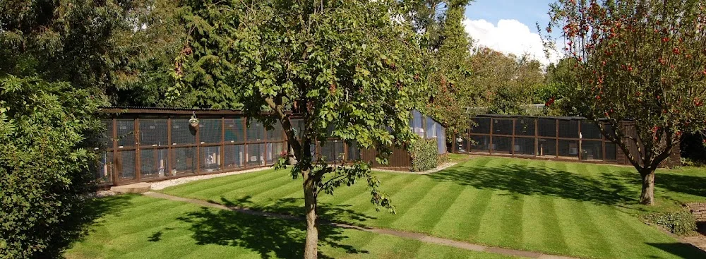 Whitecroft Cattery - Derby pet otel görseli 3