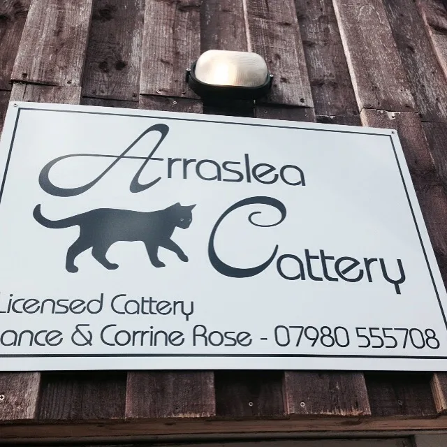 Arraslea Cattery - Derbyshire pet otel