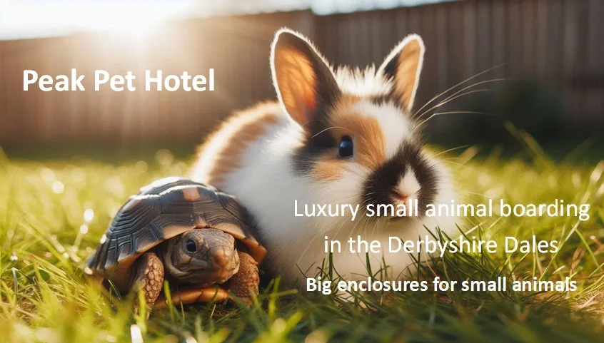 Peak Pet Hotel - Derbyshire pet otel