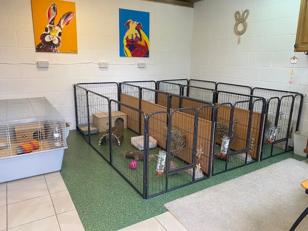 Peak Pet Hotel - Derbyshire pet otel görseli 3