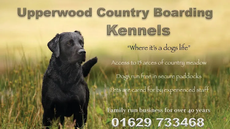 Upperwood Boarding Kennels - Derbyshire pet otel
