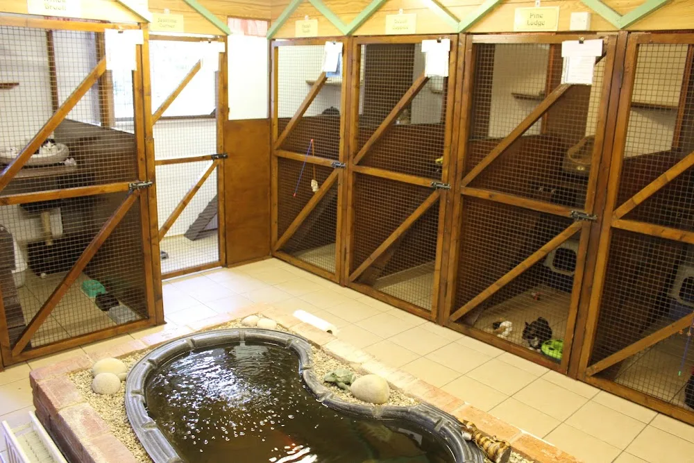 Willows Luxury Cat Hotel - Derbyshire pet otel