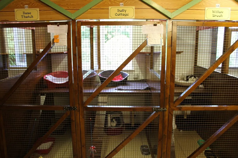 Willows Luxury Cat Hotel - Derbyshire pet otel görseli 3