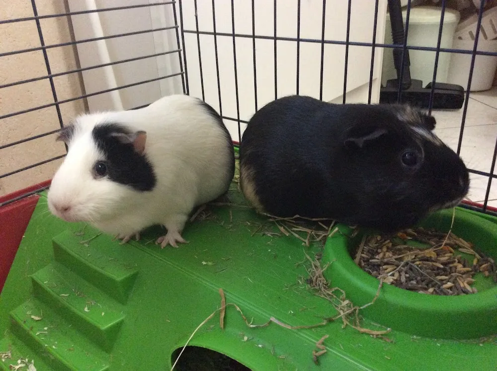 Garde Animalière Thouarsaise - Deux-Sèvres pet otel