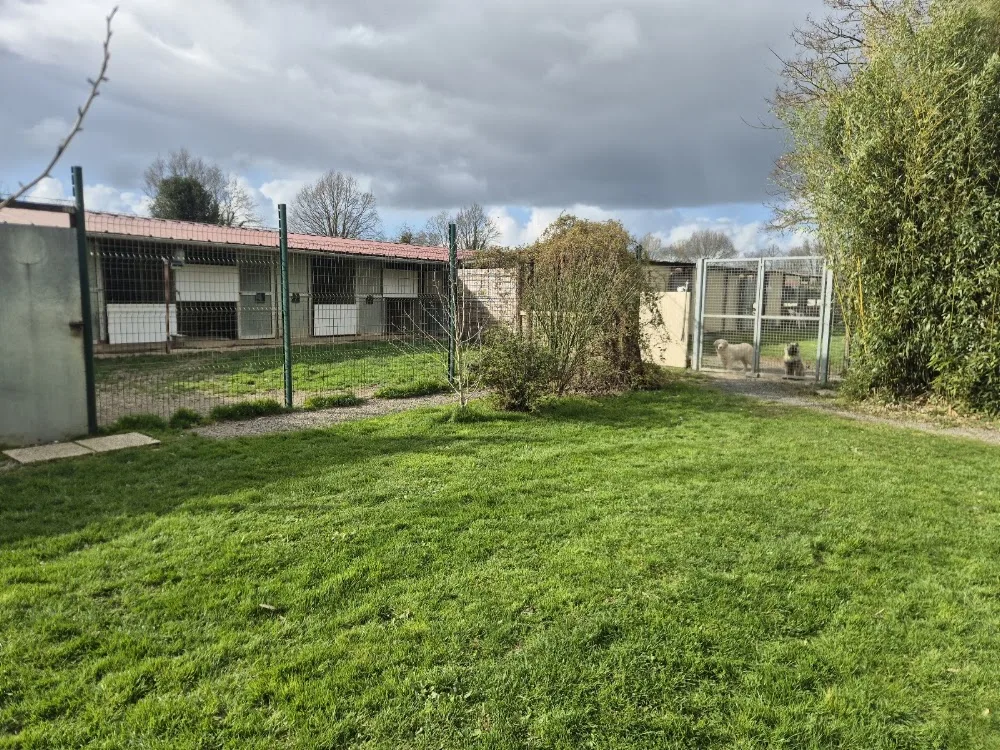 Pension La Colo Mathieu - Deux-Sèvres pet otel görseli 3