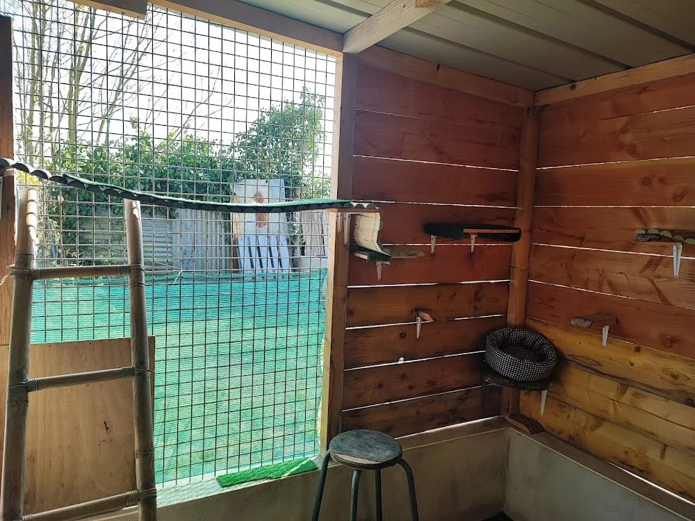 Pension pour chats - Deux-Sèvres pet otel görseli 3