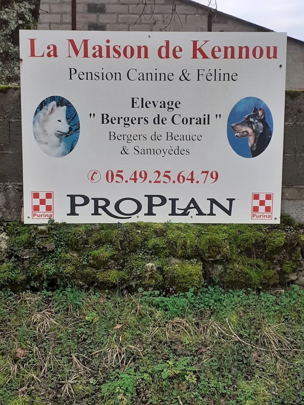 Surmont Agnès - Deux-Sèvres pet otel görseli 2