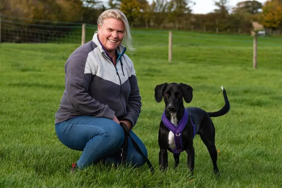 Positive Connections Scentwork and Puppy School Devizes and West Wilts - Devizes pet otel
