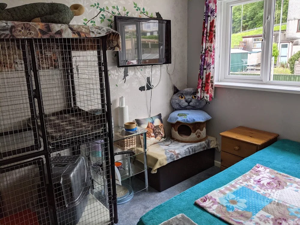 Cathaven Lodge - Devon pet otel görseli 2
