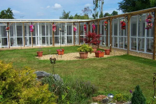 Fairmile Cat Hotel - Devon pet otel