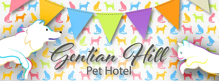 Gentian Hill Pet Hotel - Devon pet otel