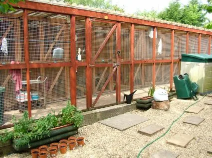 Longfield Boarding Cattery - Devon pet otel görseli 2