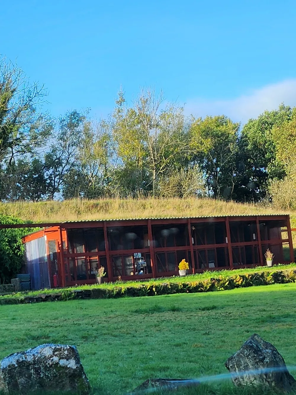 Longford Chase Boarding Kennels & Cattery - Devon pet otel