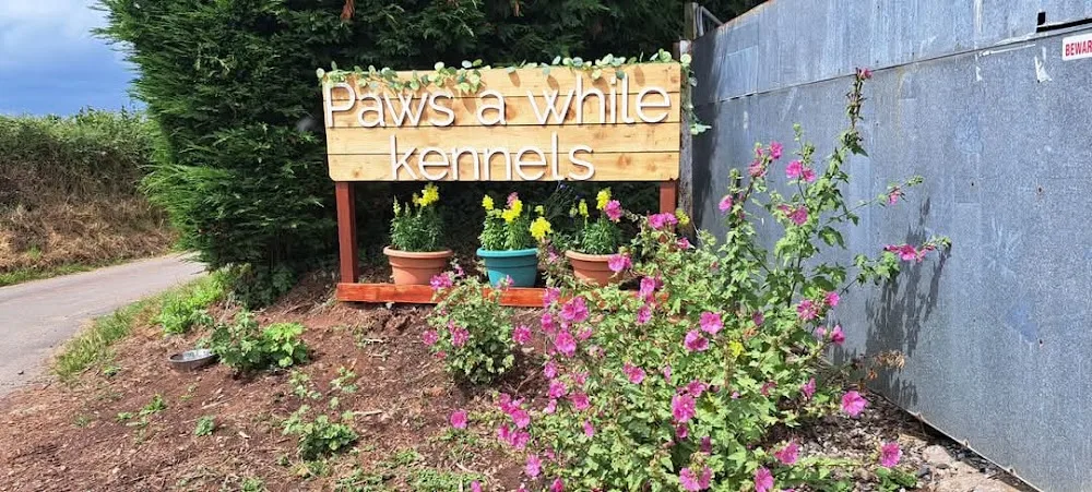 Paws A While Kennels - Devon pet otel görseli 2