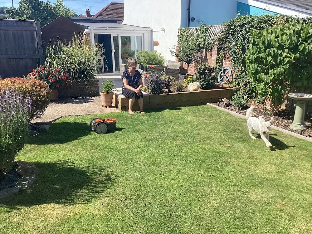 St Thomas Dog Boarding - Devon pet otel görseli 2
