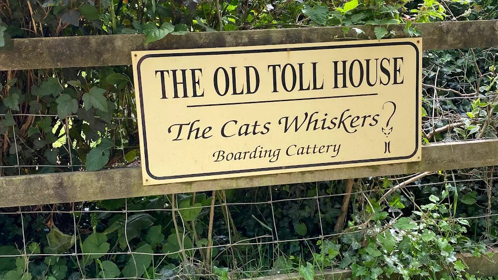 The Cats Whiskers Tiverton - Devon pet otel