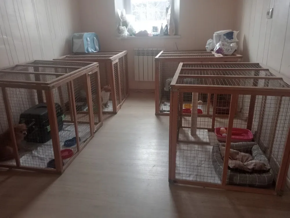 AnimalsHotel - Dnipropetrovska pet otel