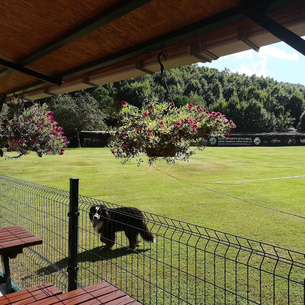 Dog Sports İstanbul - Şile pet otel görseli 3
