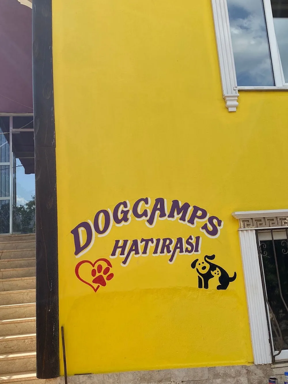 DOGS CAMP KÖPEK EĞİTİMİ DENİZLİ - Denizli pet otel