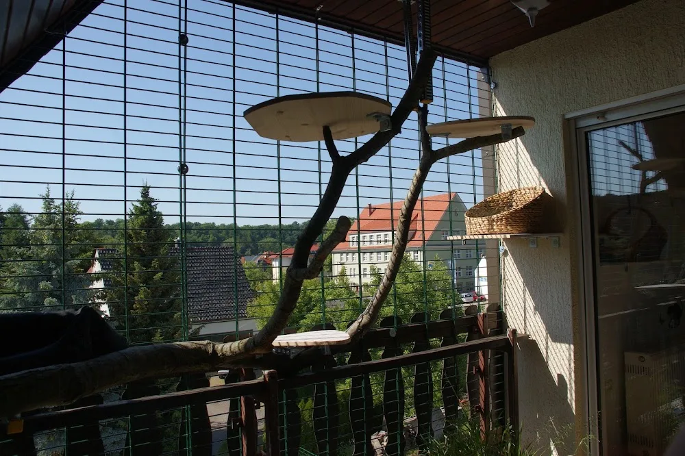 Katzenpension Dippoldiswalde - Dohma pet otel