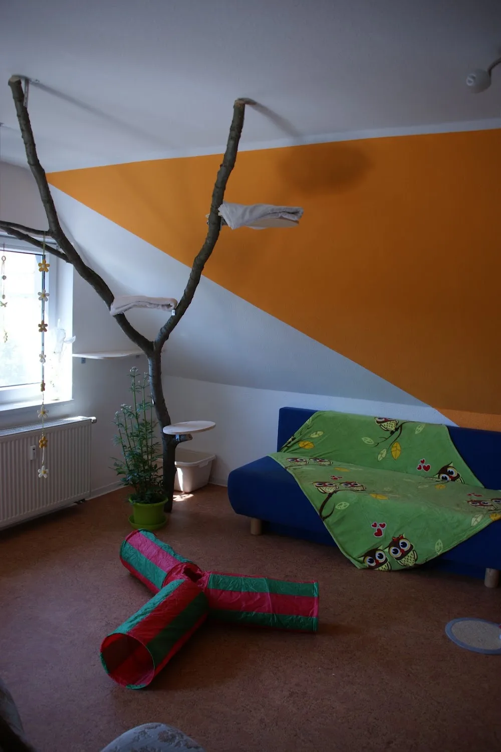 Katzenpension Dippoldiswalde - Dohma pet otel görseli 7