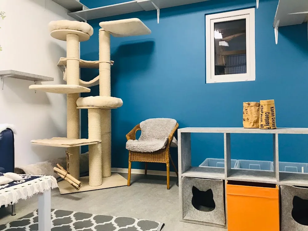 Katzenpension Stadtkatzen Dresden - Dohma pet otel görseli 6