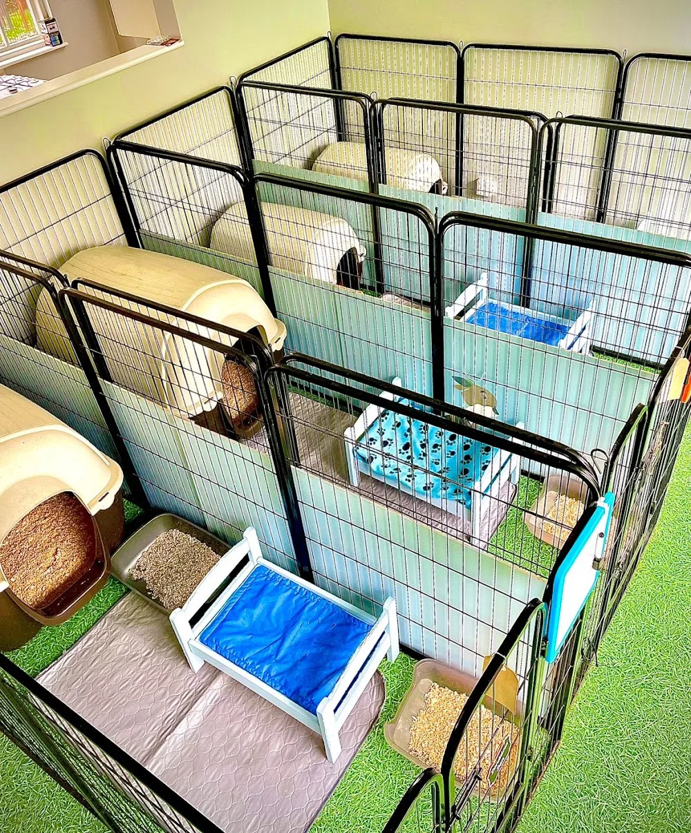 Doncaster Small Animal Boarding - Doncaster pet otel