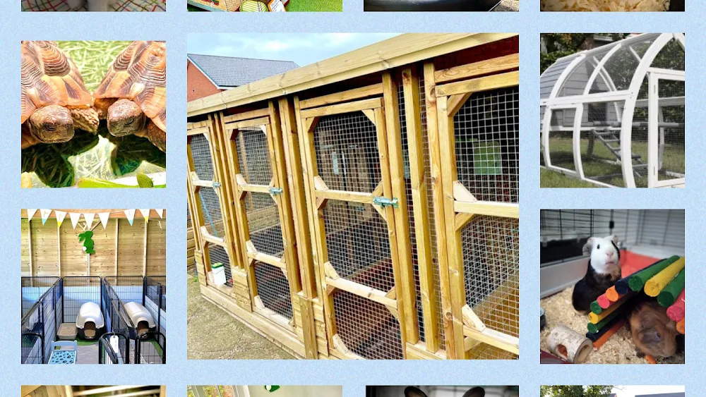Doncaster Small Animal Boarding - Doncaster pet otel görseli 3