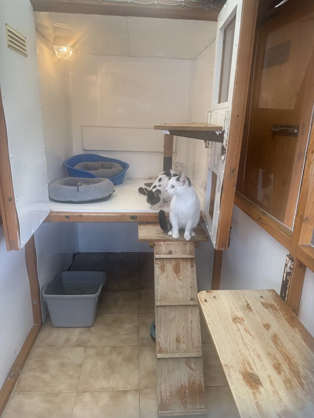Dovecote Lodge Cattery - Doncaster pet otel görseli 3