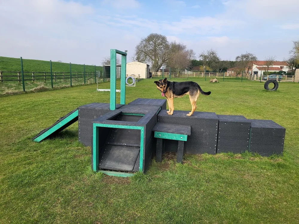 Elms Boarding Kennels For Dogs - Doncaster pet otel