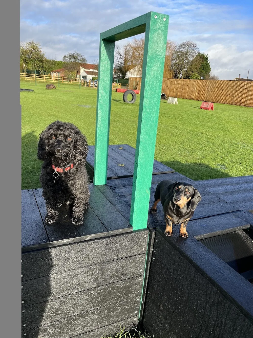 Elms Boarding Kennels For Dogs - Doncaster pet otel görseli 3