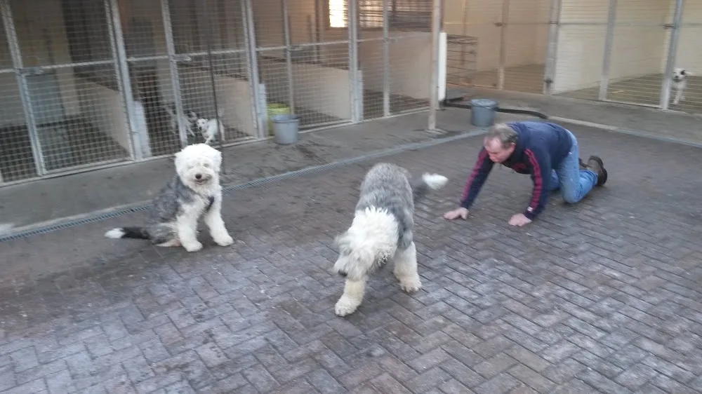 Kirk View Kennels and Cattery - Doncaster pet otel